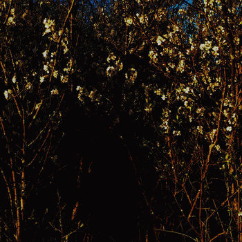 Existe : Trouver la Liberté en se Tournant Vers la Lumière Existe : Trouver la Liberté en se Tournant Vers la Lumière